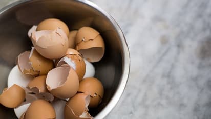 പല്ലി ശല്യം; വീട്ടിലുള്ള ചില വസ്തുക്കള്‍ ഉപയോഗിച്ച് തന്നെ പല്ലികളെ തുരത്താം