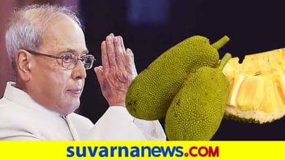 ಹಳ್ಳಿಯ ಹಲಸು ಕೇಳಿದ ಮಾಜಿ ರಾಷ್ಟ್ರಪತಿ ಪ್ರಣಬ್ ಮುಖರ್ಜಿ..!