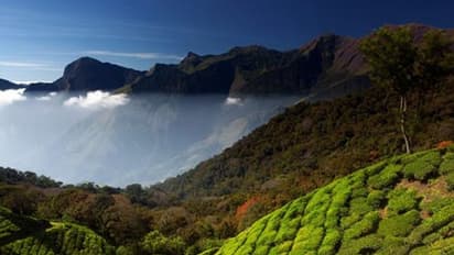 സന്ദര്ശകരുടെ തിരക്ക് വര്ദ്ധിച്ചതോടെ മൂന്നാറില് വ്യാജമദ്യമൊഴുകുന്നു