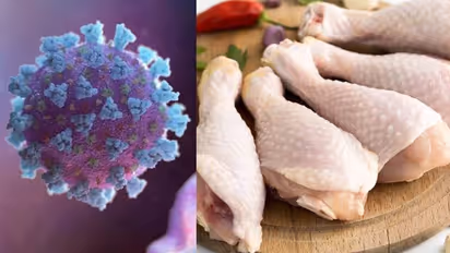 'പേടിക്കേണ്ട, ശീതീകരിച്ച ഭക്ഷണത്തില് നിന്ന് കൊറോണ പടരില്ല': ലോകാരോഗ്യ സംഘടന