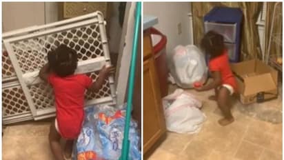 പലഹാരം മോഷ്ടിക്കുന്ന കുട്ടിക്കുറുമ്പി; വെെറലായി വീഡിയോ