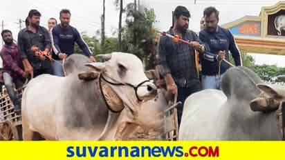 ವಿನಯ್ ಕುಲಕರ್ಣಿ ಫಾರ್ಮ್‌ ಹೌಸ್‌ನಲ್ಲಿ ಚಾಲೆಂಜಿಂಗ್‌ ಸ್ಟಾರ್‌ ಚಕ್ಕಡಿ ಸವಾರಿ!