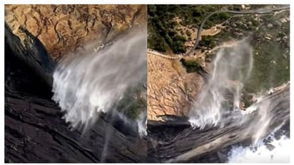 প্রশ্নের মুখে পড়ল নিউটনের মাধ্যাকর্ষণ, জলপ্রপাতের জল গড়ালো উল্টোদিকে, নিজেই দেখুন সেই ভিডিও