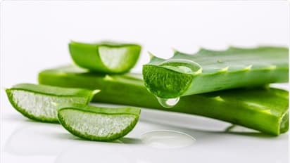 മുഖത്തെ കരുവാളിപ്പ് മാറാൻ കറ്റാർവാഴ ഉപയോ​ഗിക്കേണ്ട വിധം