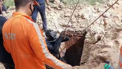 ఎనిమిది అడుగుల లోతు కాలువలో పడిన మహిళ.. నగ్నంగా..