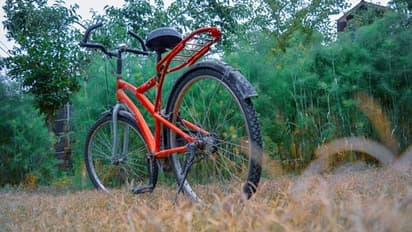 This electric cycle made of bamboo costs $4,140; Details inside