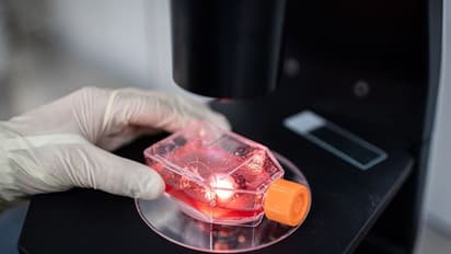 कोरोना : वैक्सीन बनाने के फाइनल स्टेज पर पहुंचा चीन, पाकिस्तान को भी देगा, जान लें कब मार्केट में आएगी