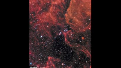 ശാസ്ത്രലോകത്തിന്‍റെ കണക്കുകൂട്ടലുകളെ അട്ടിമറിച്ച ഒരു നക്ഷത്രം; ഇത് ബെറ്റല്‍ഗ്യൂസിന്റെ കഥ