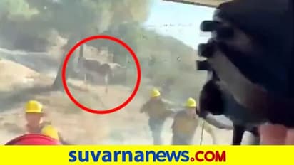 ಬೆಂಕಿ ಆರಿಸುತ್ತಿದ್ದವರ ಮೇಲೆ ಗೂಳಿ ದಾಳಿ, ಸಿಬ್ಬಂದಿ ಪರಾರಿ!