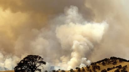 'পৃথিবী পরিণত হবে নরকে', বিস্ময়কর গতিতে বাড়ছে বিপর্যয় - কী আবেদন জানালো রাষ্ট্রসংঘ