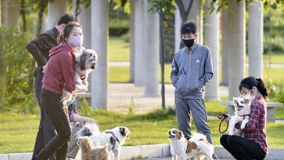 ಹುಚ್ಚುದೊರೆ ಕಿಮ್‌ ವಿಚಿತ್ರ ಆದೇಶ, ಮೂಕಪ್ರಾಣಿಗಳ ಶಾಪ ತಟ್ಟದೇ ಇರಲ್ಲ!