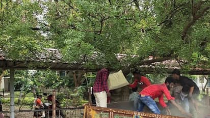 বিক্ষুব্ধ জনতা আইনের উর্ধ্বে নয়,বিশ্বভারতীর পাঁচিল ভাঙাকাণ্ডে মন্তব্য় হাইকোর্টের