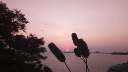 ലോക ഫോട്ടോഗ്രഫി ദിനം; ഫോട്ടോഗ്രാഫര് രവി ജീവിതം പറയുന്നു