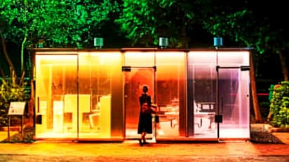 পাবলিক টয়লেটে স্বচ্ছ কাচের দেওয়াল, বাইরে থেকে কি সবাই দেখতে পাবে, কেন এমন সিদ্ধান্ত