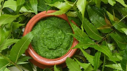 ব্রণর সমস্যায় ভুগছেন, মুক্তি পেতে কাজে লাগান ঘরোয়া টোটকা