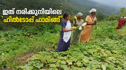 ചെങ്കുത്തായ മലകളില് മഴക്കാലത്തും പച്ചക്കറി വിളയിച്ചവര്; ഇത് കണ്ടുപഠിക്കേണ്ട കൃഷിപാഠം