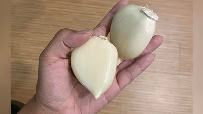 'രാക്ഷസ വെളുത്തുള്ളി'; ട്വിറ്ററില്‍ വൈറലായ ചിത്രം സത്യമോ?