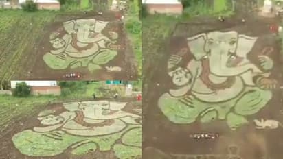 ഒരുമാസത്തെ അധ്വാനം, അരയേക്കര് പാടത്തെ പച്ചപ്പില് ഗണപതിയുടെ കുറ്റൻ ചിത്രം; അതി സുന്ദരമെന്ന് സമൂഹമാധ്യമങ്ങൾ