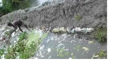 জলের তোড়ে ফের ভাঙল বিদ্যাধরী নদীর বাঁধ, হাড়োয়ায় বন্যার আতঙ্ক