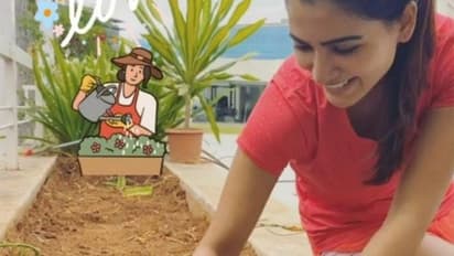 ಆರೋಗ್ಯಕರ ಸಸ್ಯ ಬೆಳೆಯಲು ಅವಧಿ ಮೀರಿದ ಹಾಲು: ಬಳಸೋದು ಹೇಗೆ..?