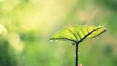 விநாயகர் சதுர்த்தி ஸ்பெஷல் போட்டோ கேலரி..!