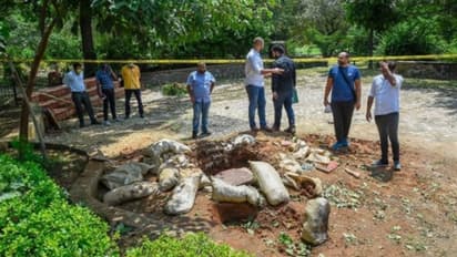 Meghalaya IEDs: রাজ্য জুড়ে পুলিশের চিরুনি তল্লাশি, উদ্ধার আইইডি-গ্রেনেড-বুলেট