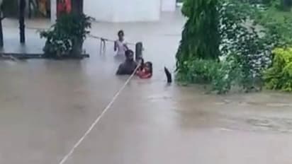 మూసీ వరదల్లో కొట్టుకొచ్చిన మొసలి: పట్టుకున్న యువకులు