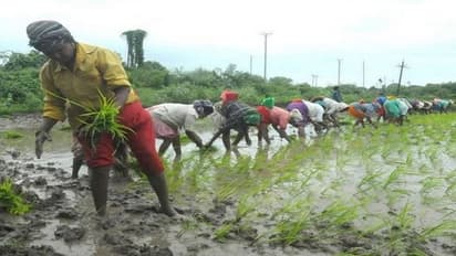 வெங்காயம், உருளைக்கிழங்கு,சமையல் எண்ணெய்க்கு கூட இனி திண்டாட வேண்டியிருக்கும்:வேளாண்துறை சட்டம் குறித்து பகீர்