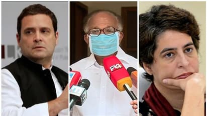 'രാഹുലോ പ്രിയങ്കയോ വരണം, തയ്യാറല്ലെങ്കിൽ പുറത്ത് നിന്നൊരാളെ കണ്ടെത്തണം': പിജെ കുര്യൻ