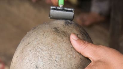 దొంగతనం అనుమానం.. మైనర్లకు గుండుకొట్టించి, చెప్పులదండలతో ఊరేగించి.. బహిరంగంగా ఉమ్మేసి చిత్రహింసలు...