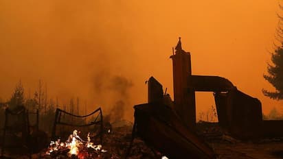 ലോസ് ഏഞ്ചല്സില് കത്തി നശിച്ചത് 3,14,000 ഏക്കർ വനം