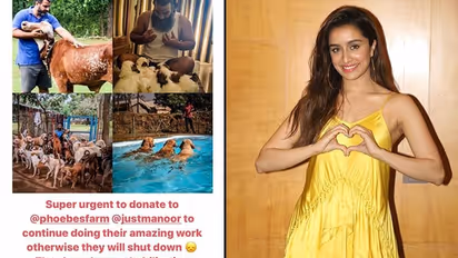 Shraddha Kapoor's latest post can help you be a good samaritan for animals