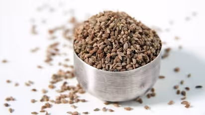 தினமும் காலையில் வெறும் வயிற்றில் இந்த ஒரு விதை சாப்பிட்டால் போதும்., மூன்று முக்கிய நன்மைகள் இதில் இருக்கு..!