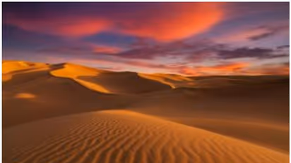 സഹാറ മരുഭൂമി പണ്ട് പച്ചപ്പ് മൂടിയ അവസ്ഥയിലായിരുന്നോ? പിന്നീട് എന്താണ് സംഭവിച്ചത്?