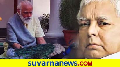 ಕಾಂಟ್ರವರ್ಸಿಗೆ ಕಾರಣವಾದ ನವಿಲು; 'ಅಂದು ಹಾಗೆ, ಇಂದು ಹೀಗೆ' !