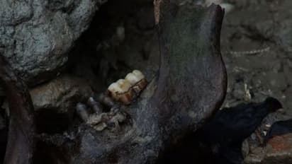 ಅಚಾನಕ್ಕಾಗಿ ಬೆಳಕಿಗೆ ಬಂತು ಕೊಳೆತ ಶವಗಳಿಂದ ತುಂಬಿದ ಜಾಗ, ಪ್ರವೇಶ ನಿರ್ಬಂಧ!