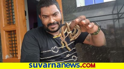 ಶಿವಮೊಗ್ಗ : ಅಪರೂಪದ ಹಾವು ಪ್ರತ್ಯಕ್ಷ
