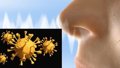 నాసల్ స్ప్రే : కరోనాను 99 శాతం ఖతం చేస్తుంది..