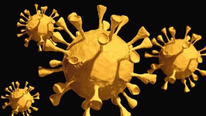 নিঃশব্দে কি দ্বিতীয় হামলার প্রস্তুতি নিচ্ছে করোনার নতুন প্রজাতি, হংকং আক্রান্ত ব্যক্তি তুললেন সেই প্রশ্ন