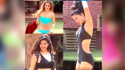 বিগ বসের বিকিনি বেবে, সানি থেকে হিনা, কারা আগুন ধরিয়েছিলেন সলমনের অনুষ্ঠানে