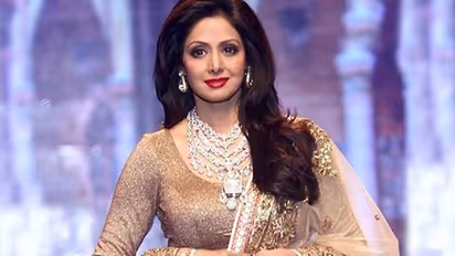 Sridevi death: When Kerala supercop suspected it was murder