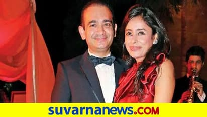 ನೀಮೋ ಪತ್ನಿ ಬಂಧನಕ್ಕೆ ಇಂಟರ್‌ಪೋಲ್‌ನಿಂದ ಜಾಗತಿಕ ವಾರೆಂಟ್‌!