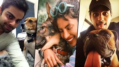 Happy International Dog Day: Priyanka Chopra to Samantha Akkineni, 15 celebs with their furry best friend