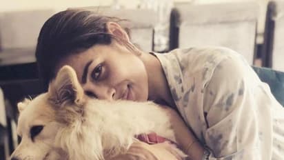 Does your dog really love you? Here are 5 signs to look out for