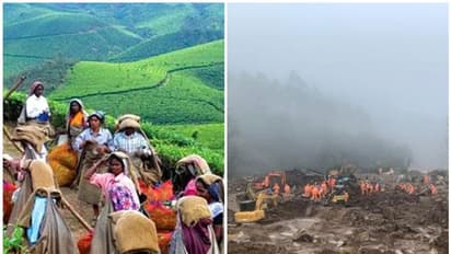 ഒഴിയാതെ ദുരന്തം, താമസിക്കാൻ വീടില്ല, സർക്കാർ ഭൂമി നൽകണമെന്ന ആവശ്യവുമായി തോട്ടം തൊഴിലാളികൾ സമരത്തിൽ