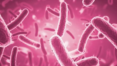 യോനിയിലുണ്ടാകുന്ന അണുബാധയ്ക്ക് കാരണം ലിംഗത്തിൽ നിന്ന് പകരുന്ന രോഗാണുക്കളാകാനും സാധ്യതയുണ്ടെന്ന് പഠനം