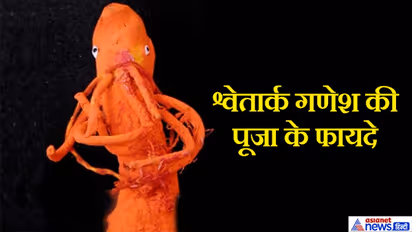 गणेश उत्सव: सफेद आंकड़े से बनी गणेश प्रतिमा होती है चमत्कारी, इसकी पूजा से होते हैं इतने सारे फायदे