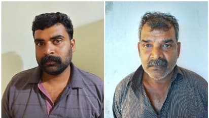 ഇടുക്കിയില്‍ ചാരായ റെയ്ഡിനെത്തിയ സംഘത്തിന് കിട്ടിയത് കാട്ടുപോത്തിറച്ചി; രണ്ട് പേര്‍ പിടിയില്‍