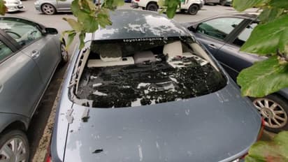 சொந்த காரை அடித்து உடைத்த அதிரடி வீரர்..!