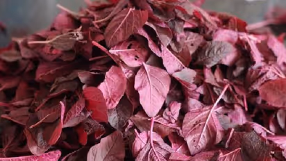 പ്രമേഹരോഗികള്‍  ഉച്ചയൂണിന് ഉള്‍പ്പെടുത്തേണ്ട അഞ്ച് ഭക്ഷണങ്ങള്‍...